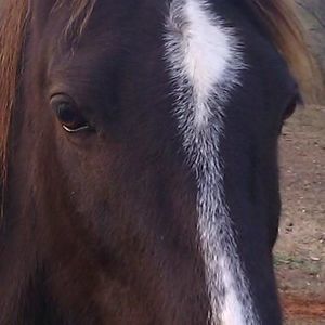 Meet your Posher, Paula